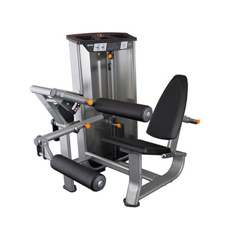 New Torque Seated Leg Curl