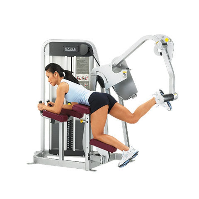 Refurbished Cybex Eagle Glute