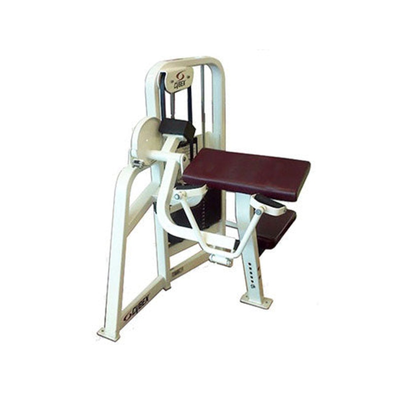 Refurbished Cybex VR2 Arm Curl