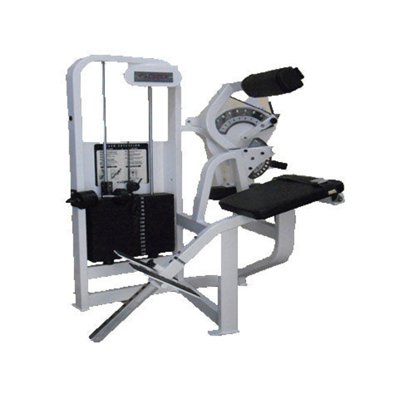 Refurbished Cybex VR2 Back Extension