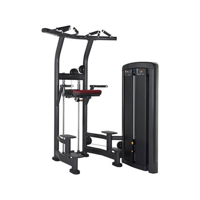 Refurbished Life Fitness Insignia Series Assist Dip Chin