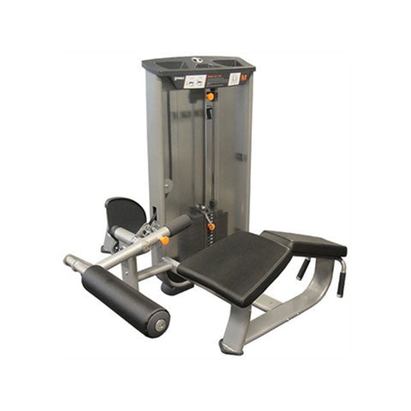 New Torque Prone Leg Curl
