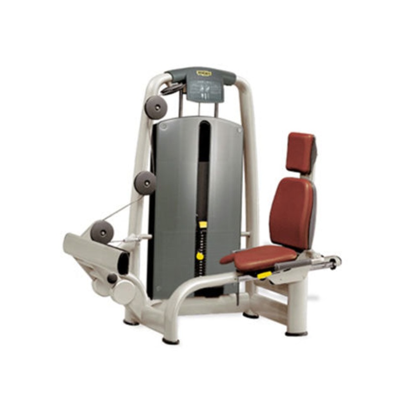 Used Technogym Selection Rotary Calf