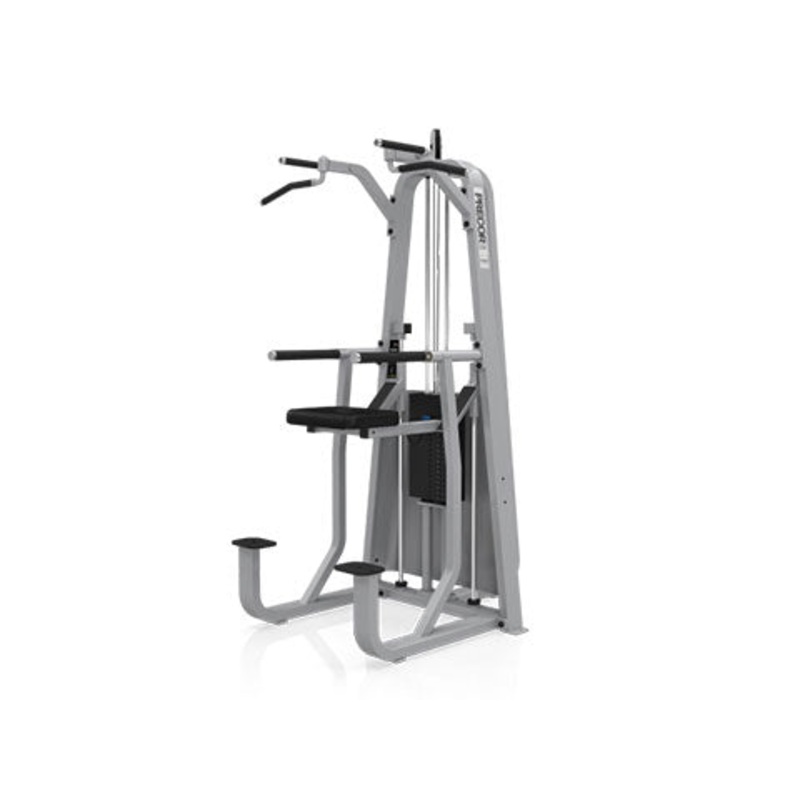 Used Precor Icarian Dip Chin Assist