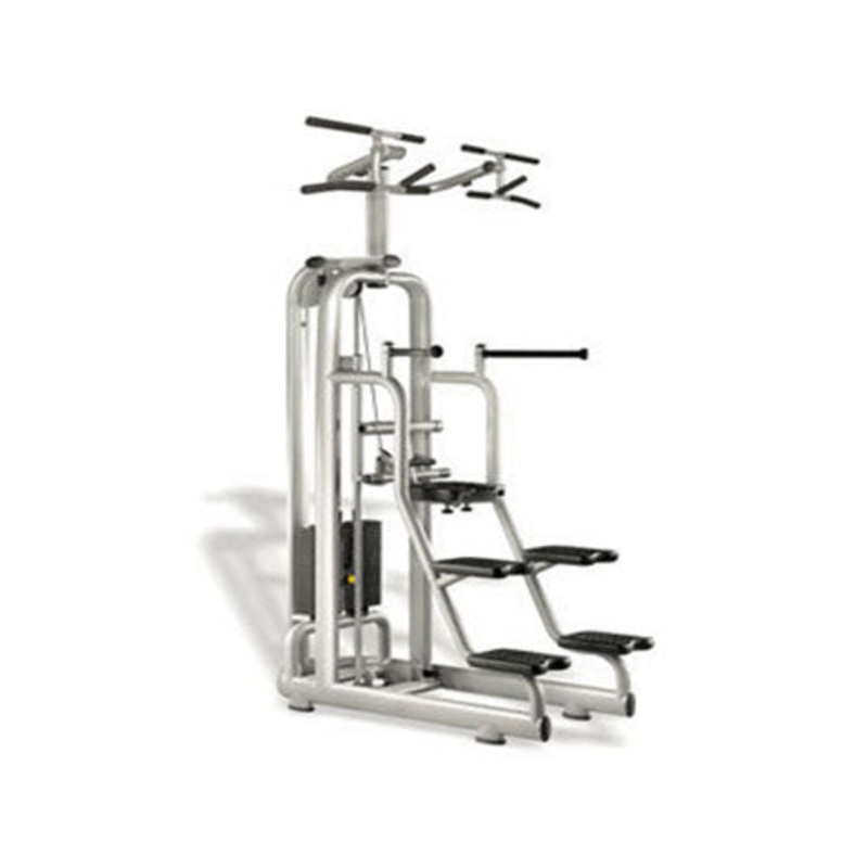 Used Technogym Selection Easy Chin Dip